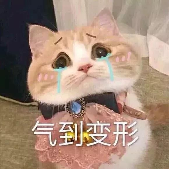 9881cdc3e504457393e3f8d09e8ffc2d.jpg 9881cdc3e504457393e3f8d09e8ffc2d.jpg